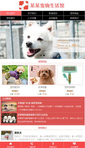 宠物生活馆 2138